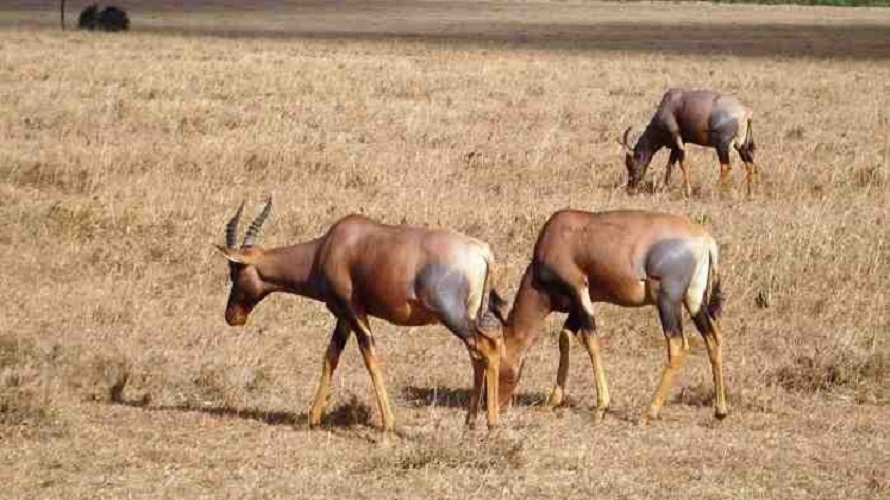 Family Adventure Holidays