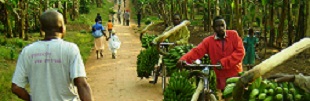 Uganda Eco Tours - Uganda rural community adventure holidays